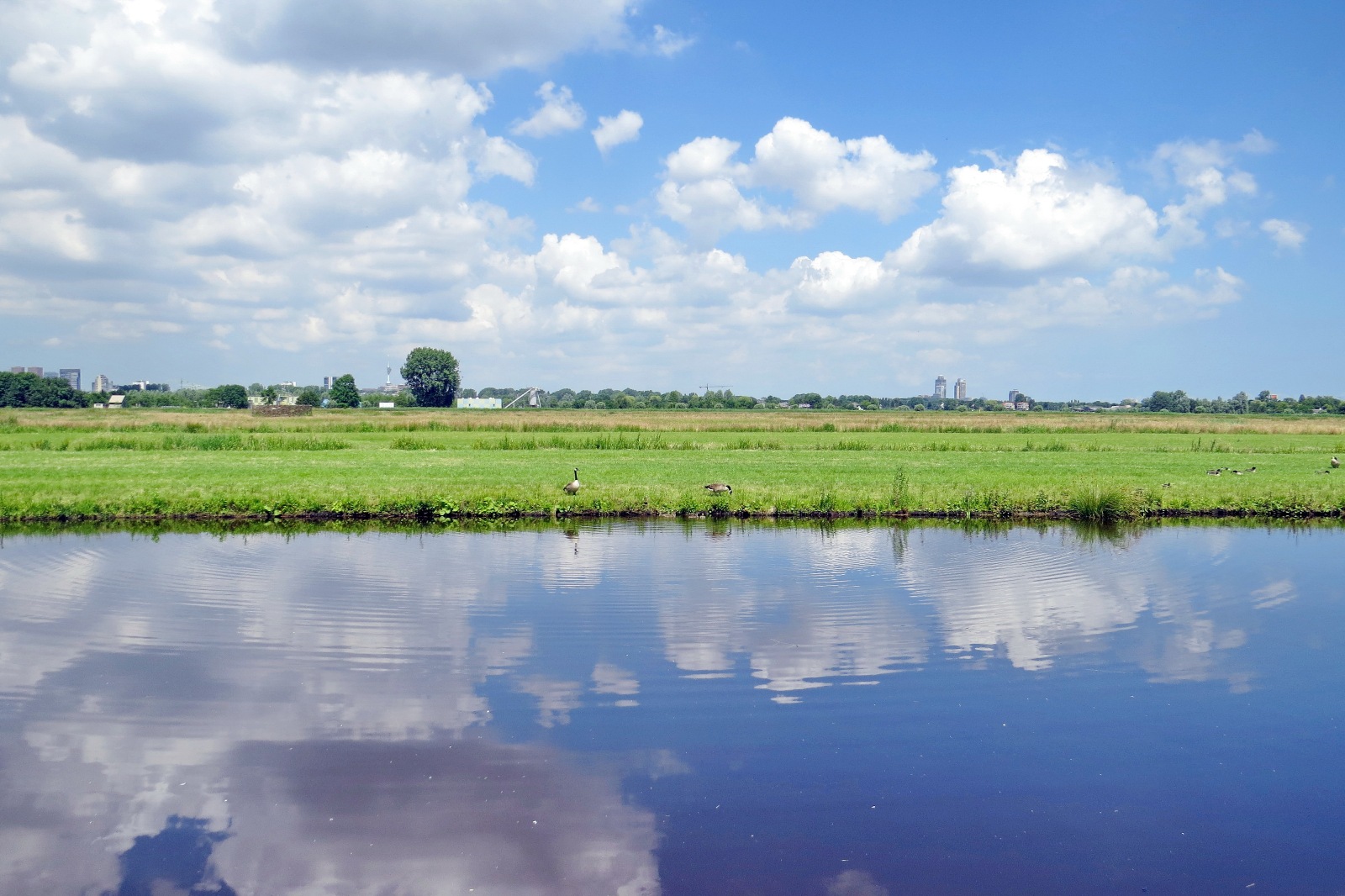 Gevolgen nieuwe wetgeving voor verzekeringen VvE